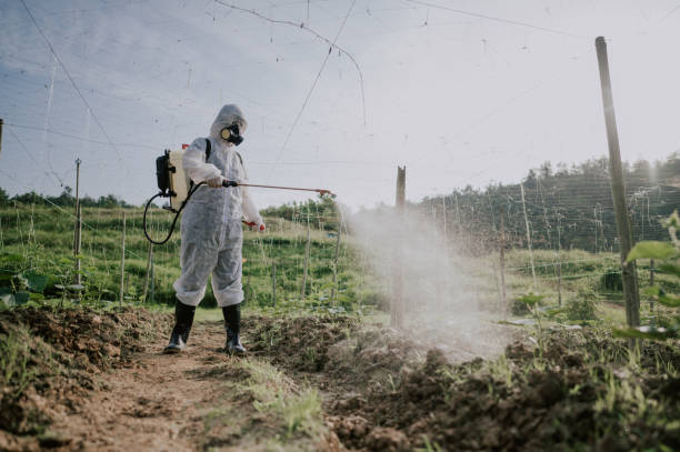 Best Mosquito Control Services  in Prineville, OR