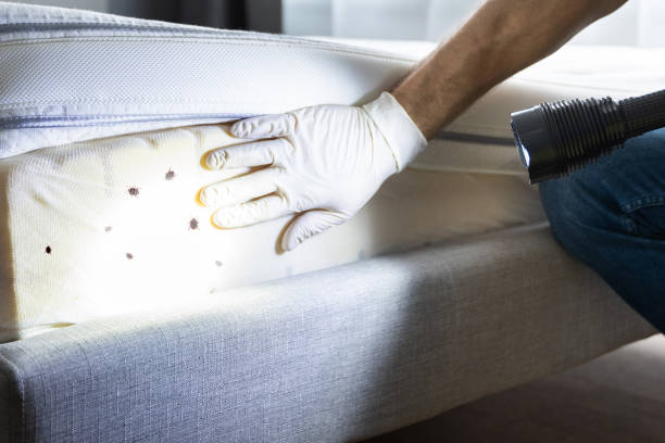Best Pest Control Near Me  in Prineville, OR