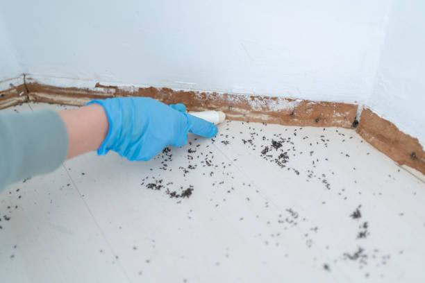 Prineville, OR Pest Control Company