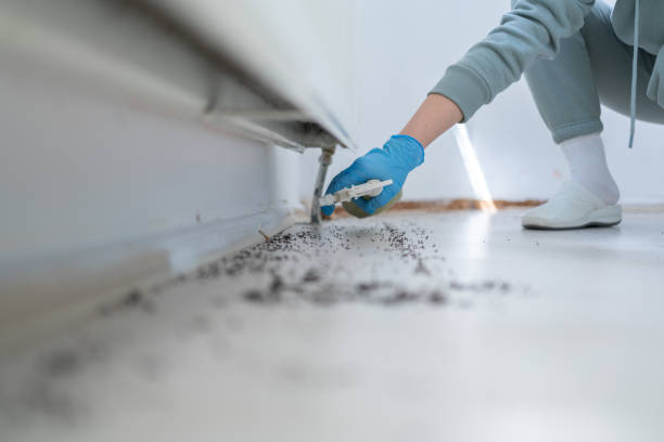 Wildlife Control Services in Prineville, OR